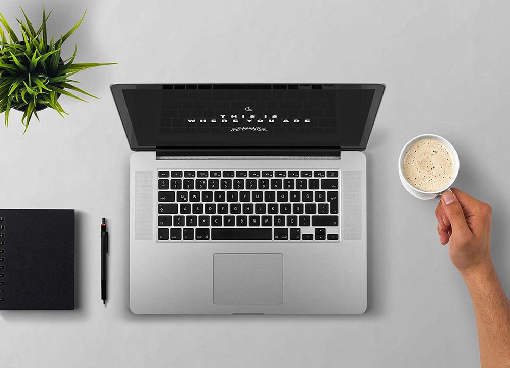 Home office: Hanging plant, laptop, notebook & pen, coffee cup held by human hand.